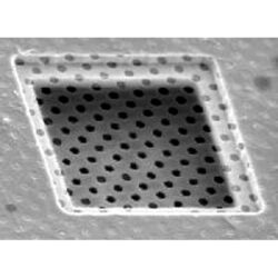 Siatki Quantifoil Holey Carbon