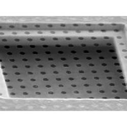 Siatki Quantifoil Holey Carbon